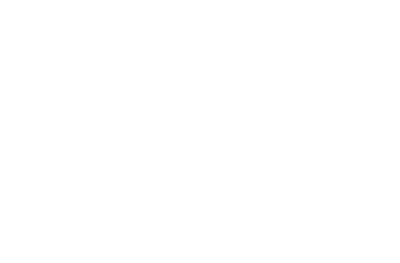 NSSF Logo 01
